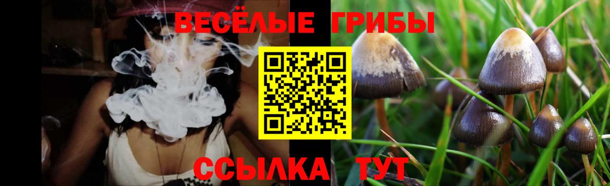Галлюциногенные грибы мицелий  Псилоцибиновые грибы Psilocybe  Всеволожск  Вход с VPN 